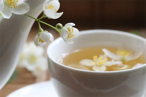 パーラーパームのトラブル解決法を実体験で解説！茶色くなる葉の原因と対策