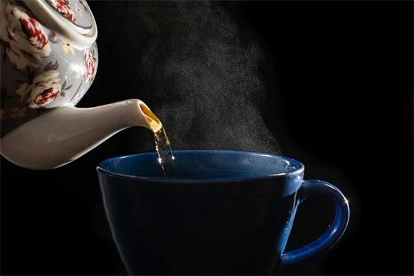 観葉植物が寒すぎるサインと冬の移動・ケア完全ガイド