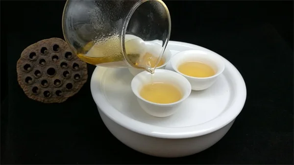 サンセベリアの根腐れを防ぐ具体的な方法と復活のコツ