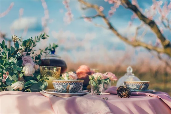 夏中咲く多年草のコスパがすごい！プロが教える毎年咲く3つの理由